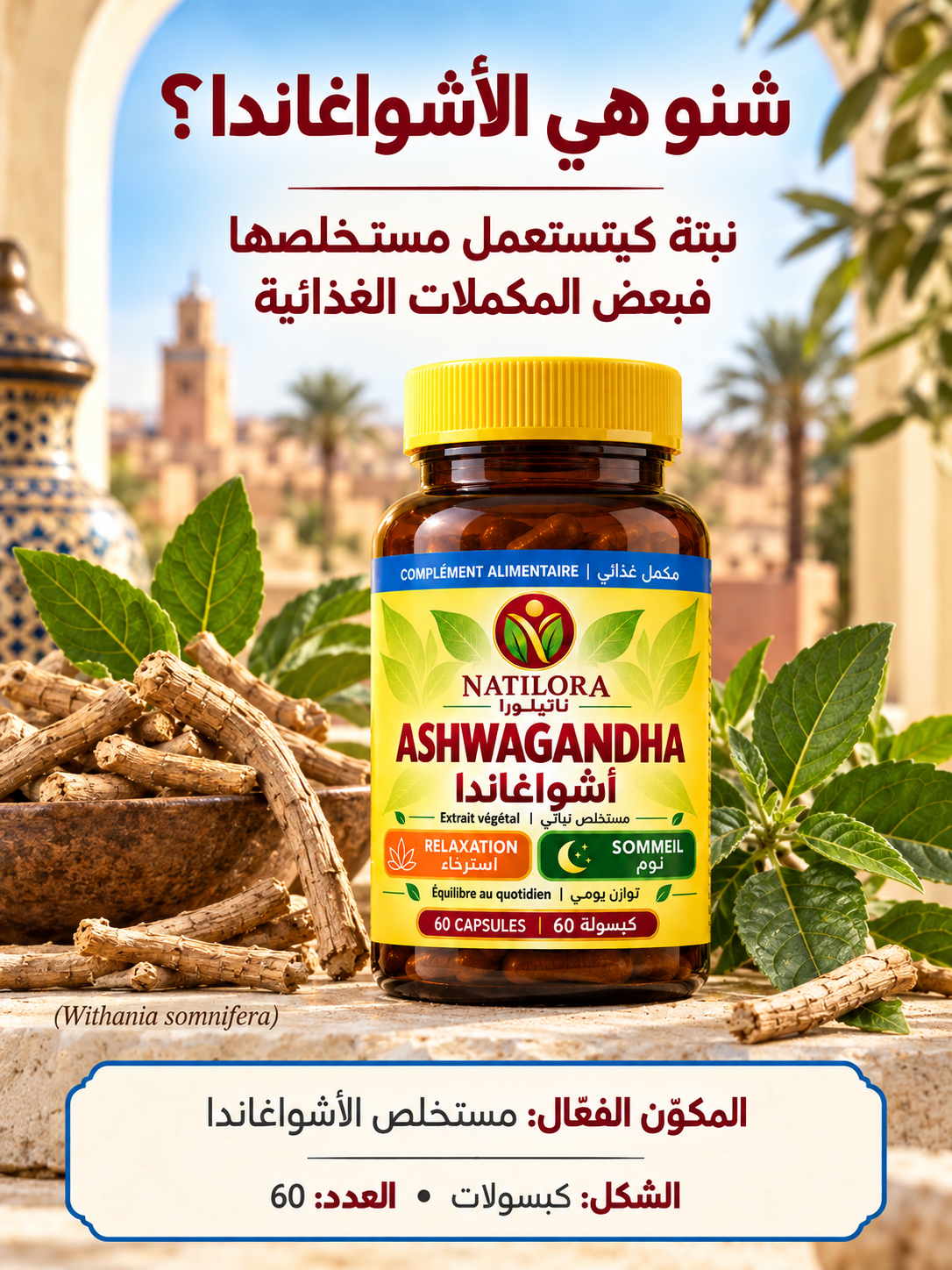 شنو هي الأشواغاندا — شرح المكوّن الفعّال